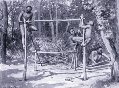 The dawn of life-building a home by Horace van Ruith